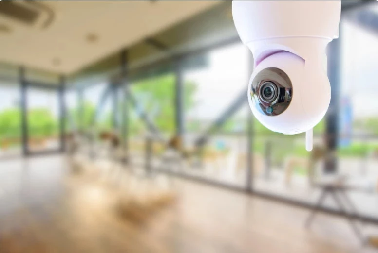 Как использовать IP-камеры для охраны периметра участка
