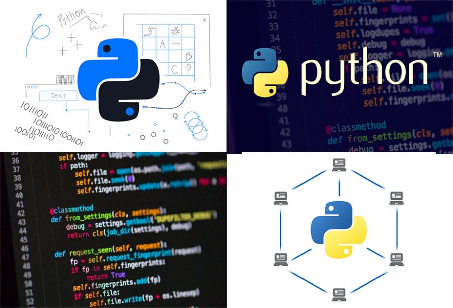 С чего начать свое знакомство с языком Python?