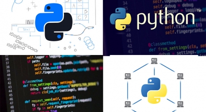 С чего начать свое знакомство с языком Python?