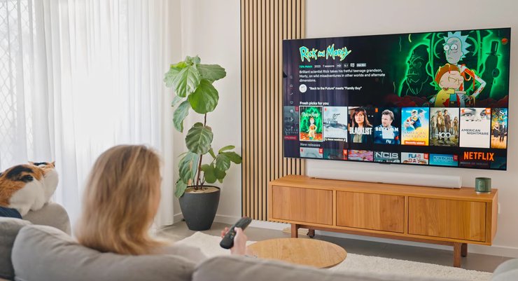 идеальный экран для дома